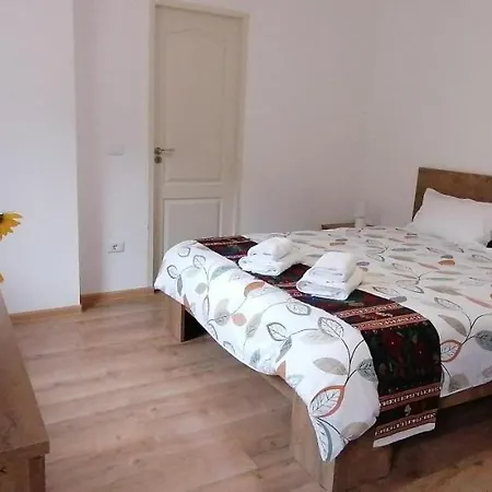 Pensiunea Rozelor Statiunea Climaterica Sambata 3* Sîmbăta de Sus