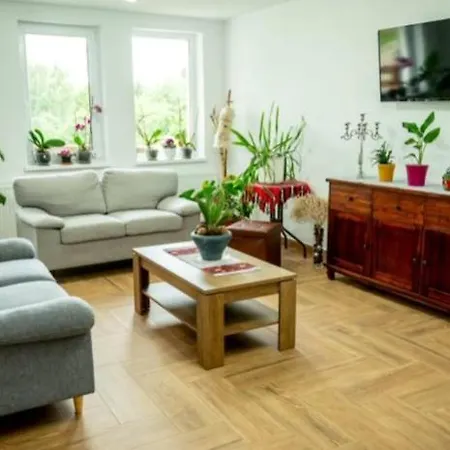 Pensiunea Rozelor Statiunea Climaterica Sambata 3* Sîmbăta de Sus