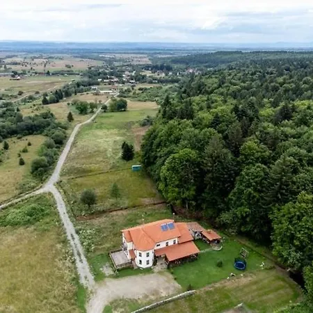 Pensiunea Rozelor Statiunea Climaterica Sambata ゲストハウス Sîmbăta de Sus