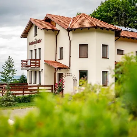 Pensiunea Rozelor Statiunea Climaterica Sambata 3* Sîmbăta de Sus